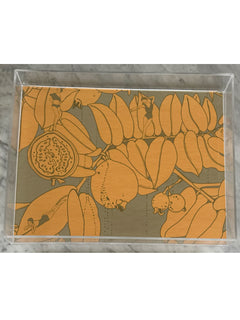 Lucite Trays7