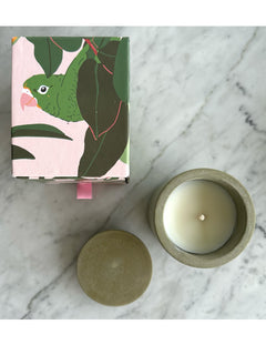Candles1