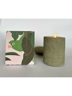 Candles4