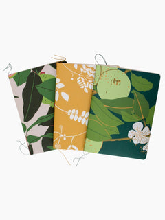 Notebook Bundle1