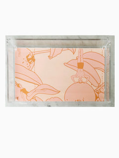 Lucite Trays15