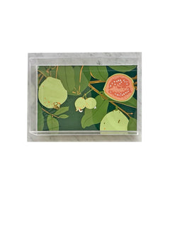 Lucite Trays16