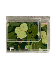 Lucite Trays9