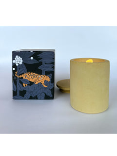 Candles2
