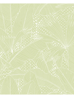 PALOMINO wallpaper6