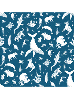 Constellation Safari Wallpaper1