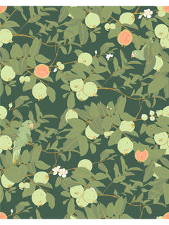 Guayaba Wallpaper Swatches4