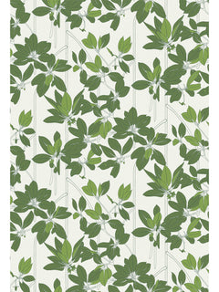 Mangle Wallpaper Swatches6