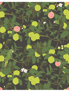 Guayaba Wallpaper Swatches3